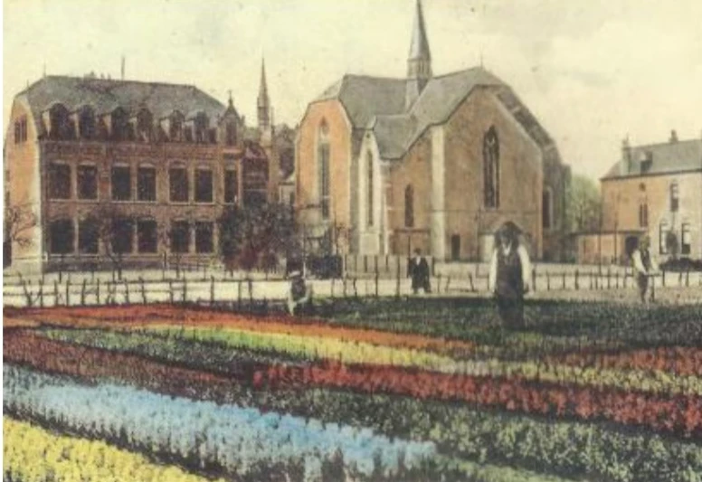 Locatie